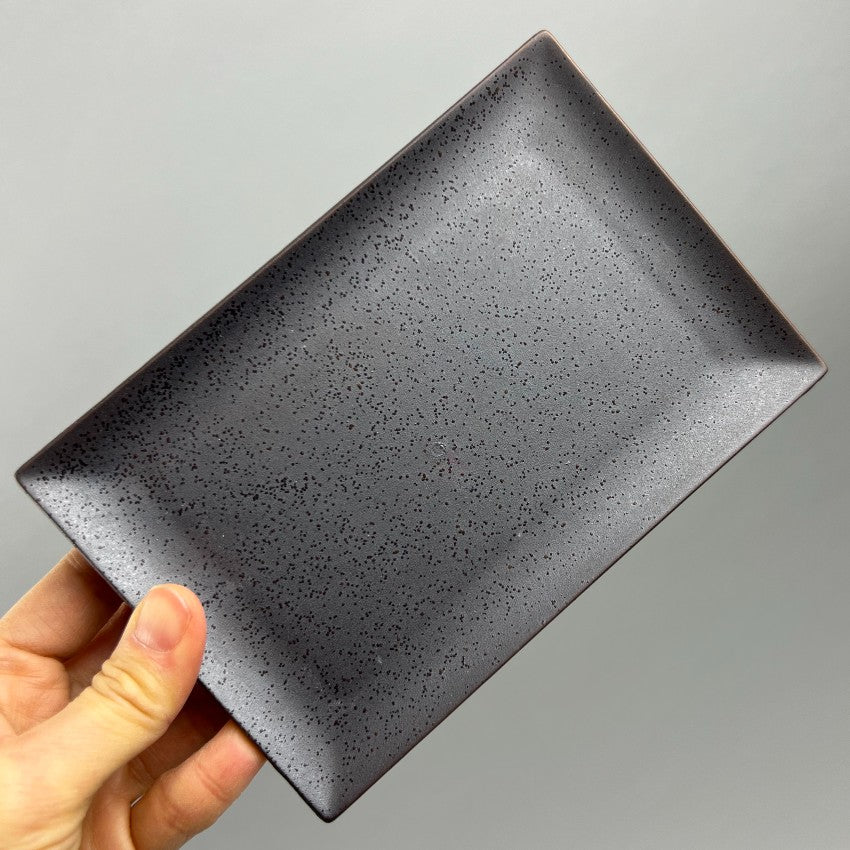 Japanese Matte Metallic Black Rectangle Slim Plates, sushi & nori 6.5