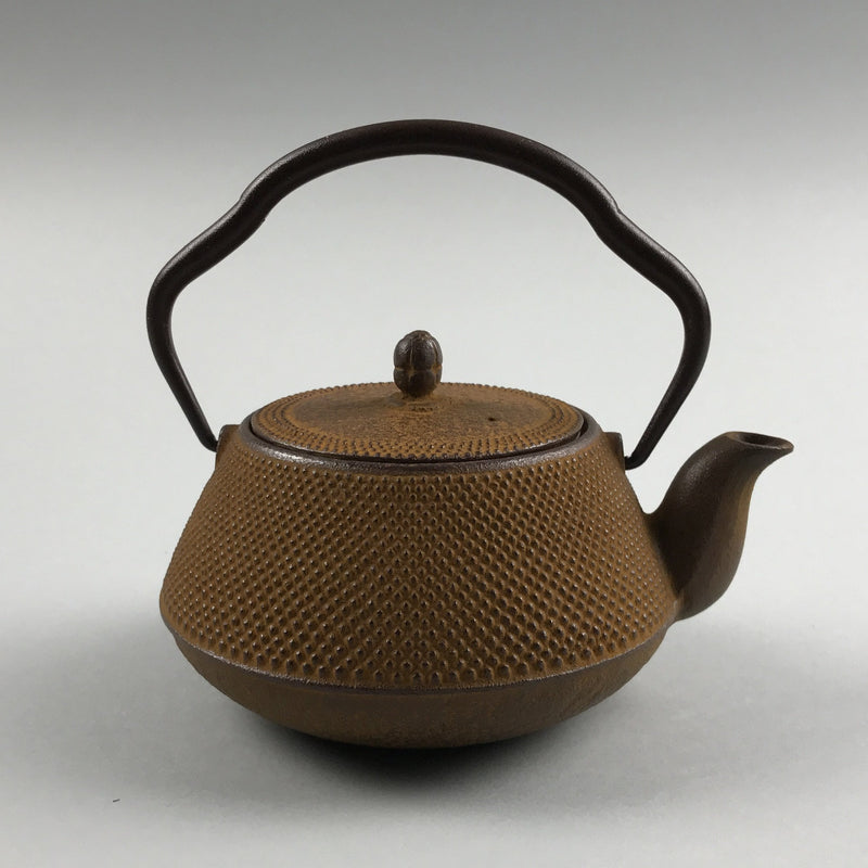 Cast Iron Teapot: Discover the Japanese Tetsubin