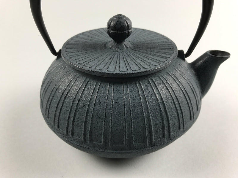 Teapot 461 Dwn Trns 1 Pcs – ابريق شاي - Kudu Arts