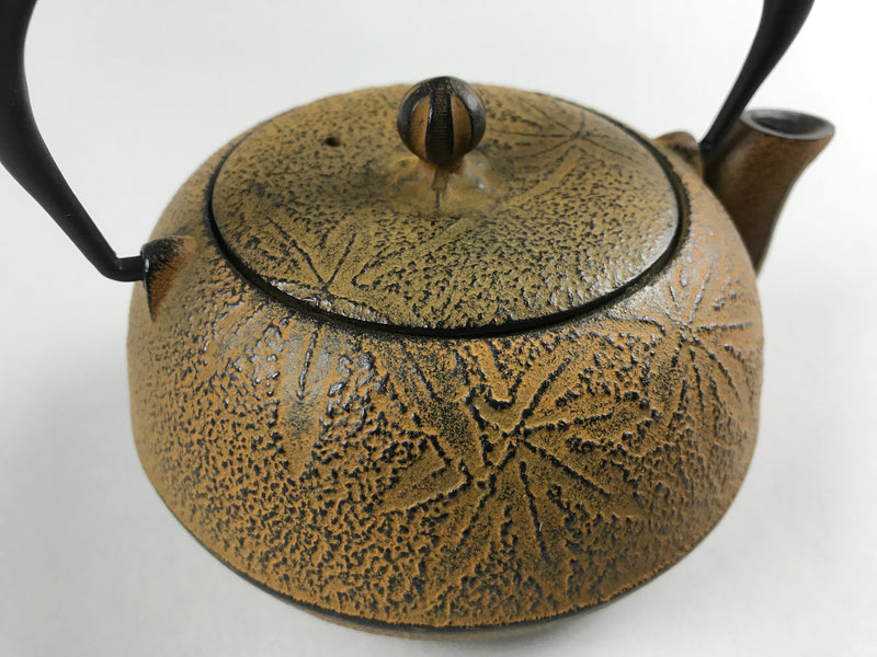 Restaurant Equipment Supply Discount Manhattan New York 纽约 뉴욕 레스토랑 Japanese Ceramics 和食器 日本 日式厨具 Made In Japan 茶 Cast Iron Teapot 南部鉄瓶