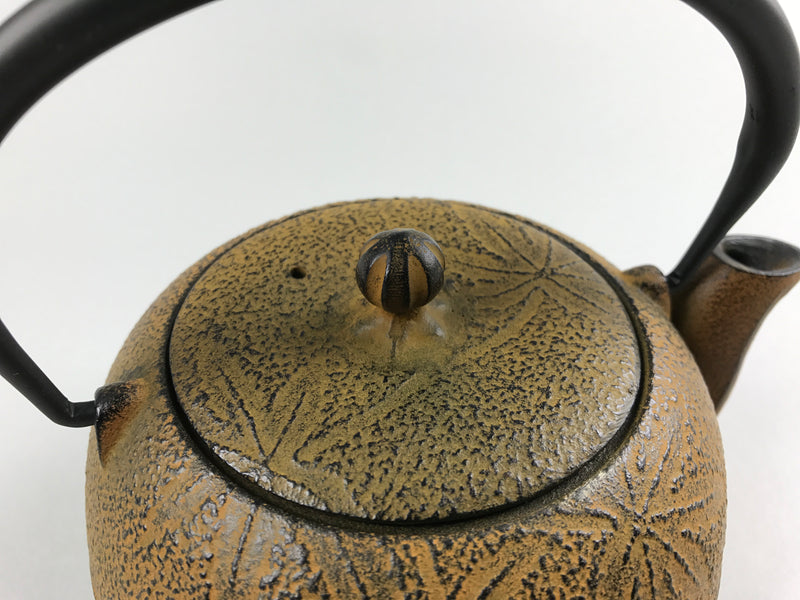 Restaurant Equipment Supply Discount Manhattan New York 纽约 뉴욕 레스토랑 Japanese Ceramics 和食器 日本 日式厨具 Made In Japan 茶 Cast Iron Teapot 南部鉄瓶