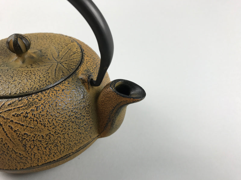 Restaurant Equipment Supply Discount Manhattan New York 纽约 뉴욕 레스토랑 Japanese Ceramics 和食器 日本 日式厨具 Made In Japan 茶 Cast Iron Teapot 南部鉄瓶