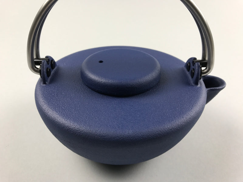 Restaurant Equipment Supply Discount Manhattan New York 纽约 뉴욕 레스토랑 Japanese Ceramics 和食器 日本 日式厨具 Made In Japan 茶 Cast Iron Teapot 南部鉄瓶 Iwachu 岩鋳
