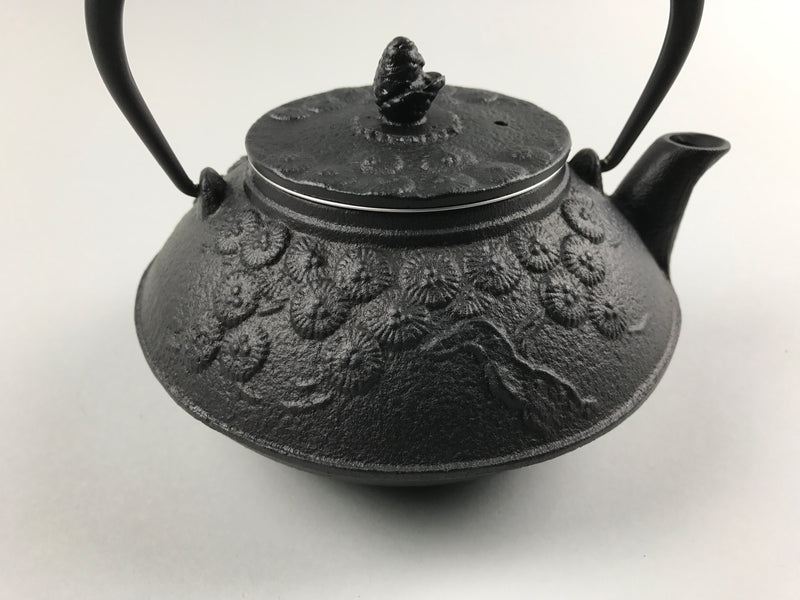 Restaurant Equipment Supply Discount Manhattan New York 纽约 뉴욕 레스토랑 Japanese Ceramics 和食器 日本 日式厨具 Made In Japan 茶 Cast Iron Teapot 南部鉄瓶 