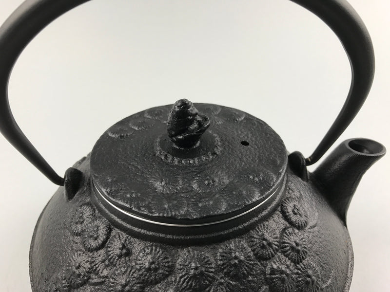 Restaurant Equipment Supply Discount Manhattan New York 纽约 뉴욕 레스토랑 Japanese Ceramics 和食器 日本 日式厨具 Made In Japan 茶 Cast Iron Teapot 南部鉄瓶 