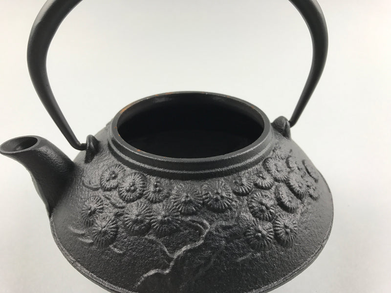 Restaurant Equipment Supply Discount Manhattan New York 纽约 뉴욕 레스토랑 Japanese Ceramics 和食器 日本 日式厨具 Made In Japan 茶 Cast Iron Teapot 南部鉄瓶 