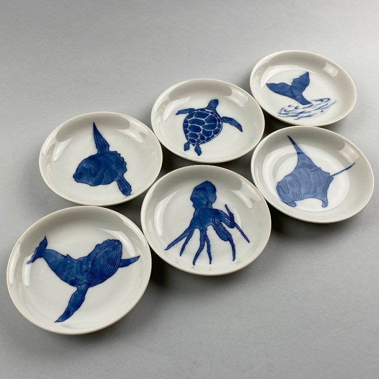 Kame Turtle Small Medium Japanese Plate blue and white marine Restaurant Supply Bowery Discount Sale OSARA New York